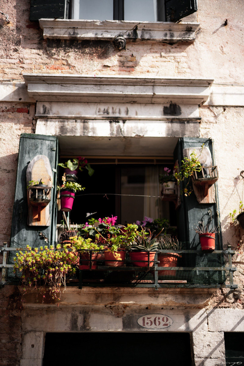 Photos from Rome, Venice, Florence, Tuscany, Manarola, Vernazza, Riomaggiore, Verona, Trento, and the Italian Alps in Spring of 2022.